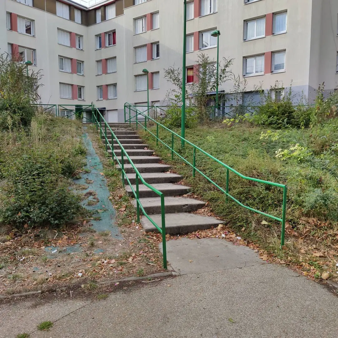 Rail Chantepie — photo 1
