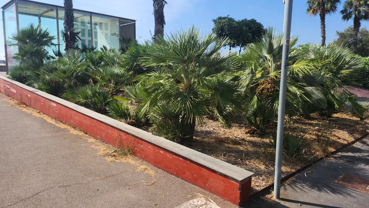 Garcia Faria spot 2 — photo 1