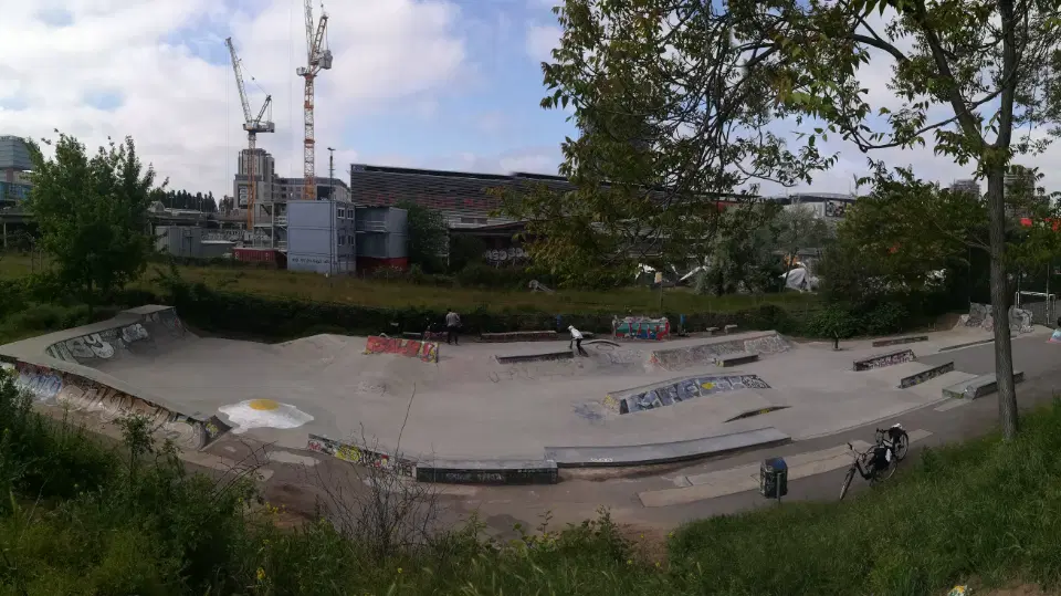 Skate Park "Dog Shit Spot" — photo 1