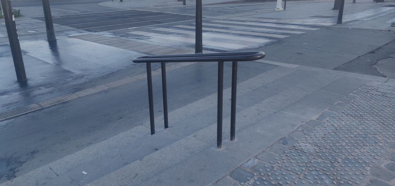 Little rail — photo 1