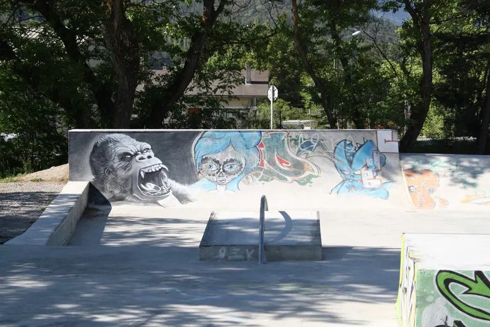 Barcelonnette skatepark — photo 1