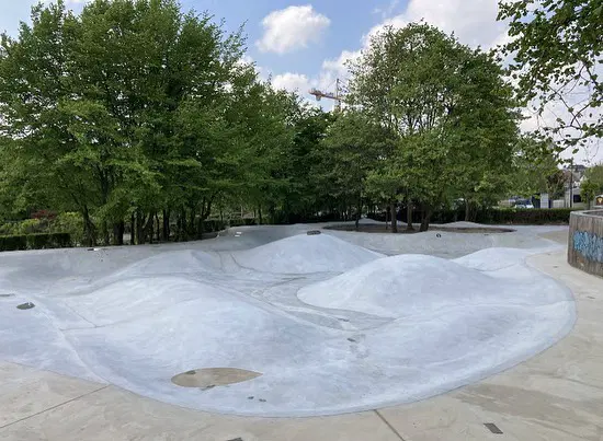 Bowl (Georges Henri Park) — photo 1