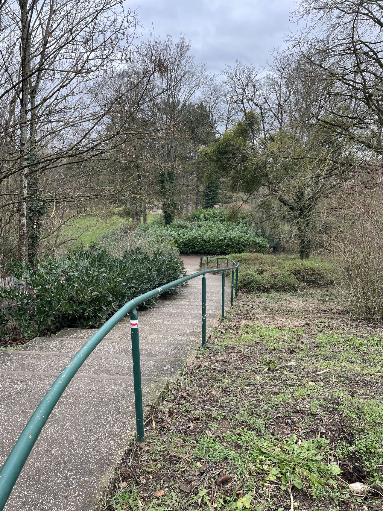 Rail descente 25m — photo 1