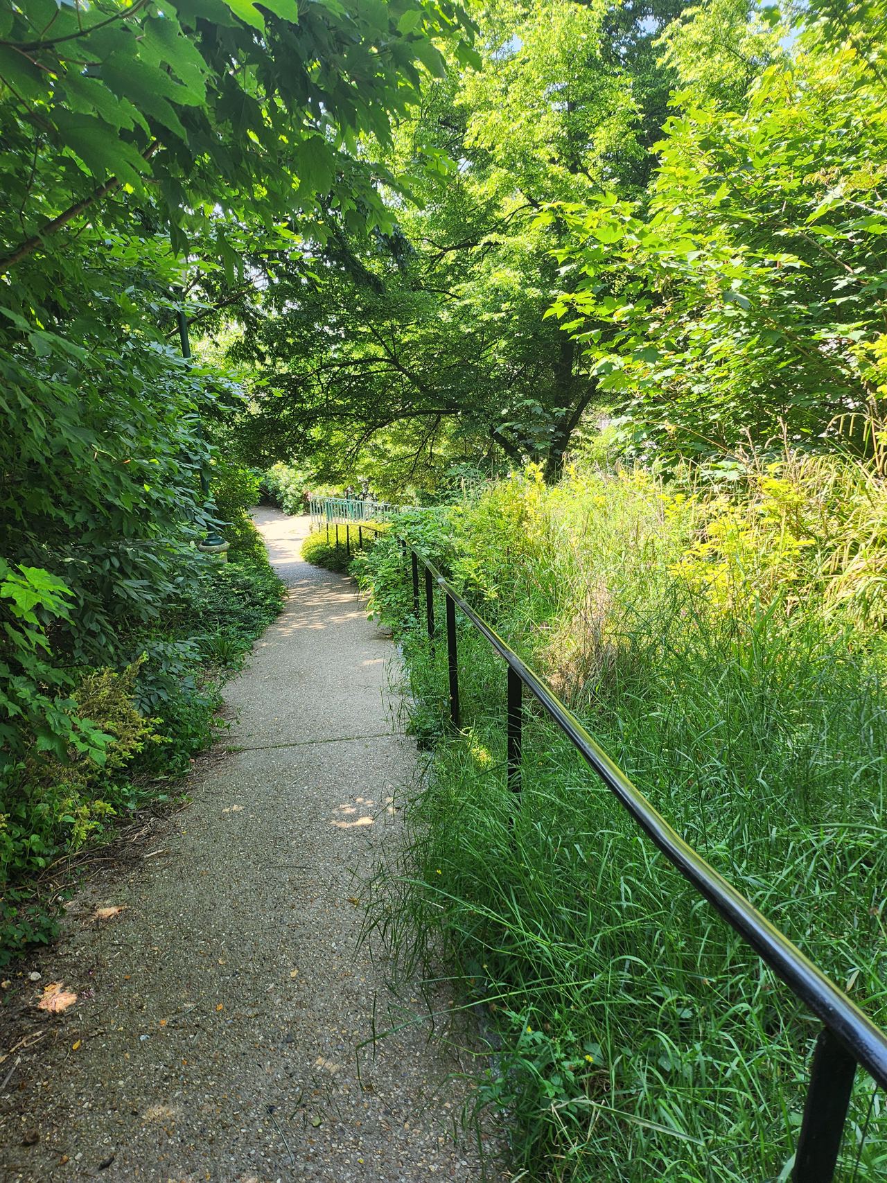 Long handrail Parc de Bellevile — photo 1