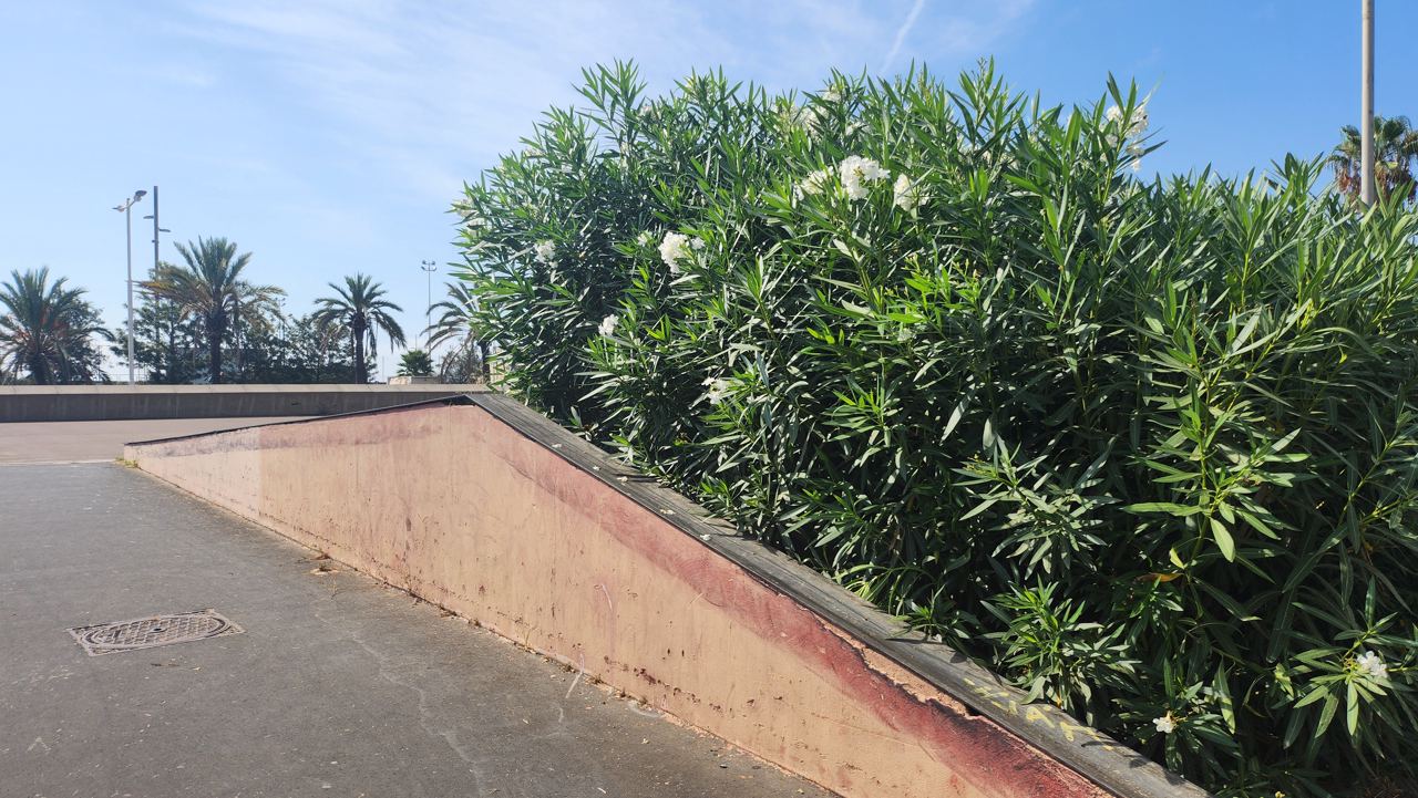 Garcia Faria spot 4 — photo 1