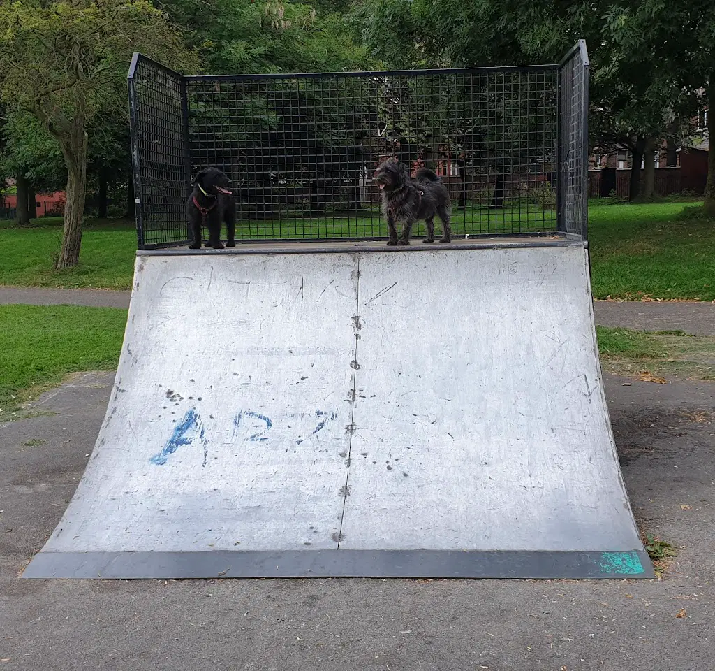 Delamere skatepark — photo 1