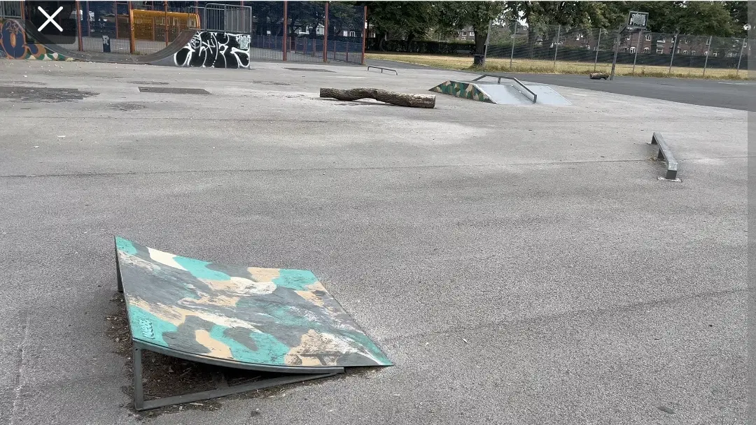Fog Lane Skatepark — photo 1