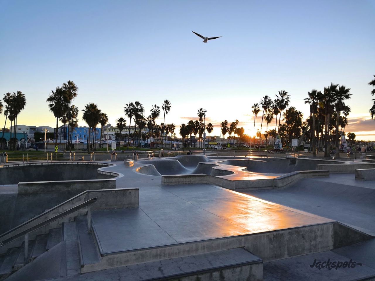 Venice Beach Skatepark — photo 1