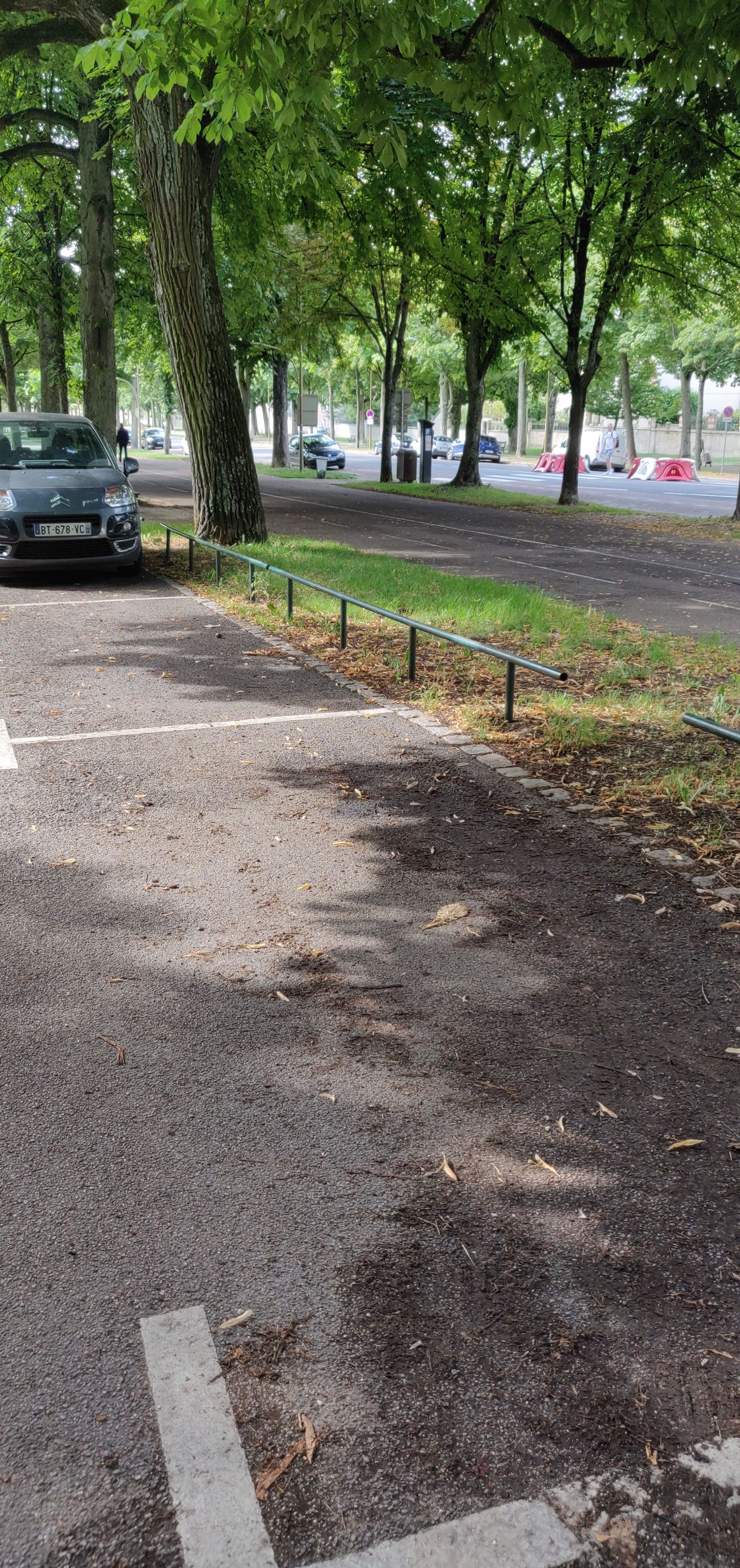 little low rails — photo 1