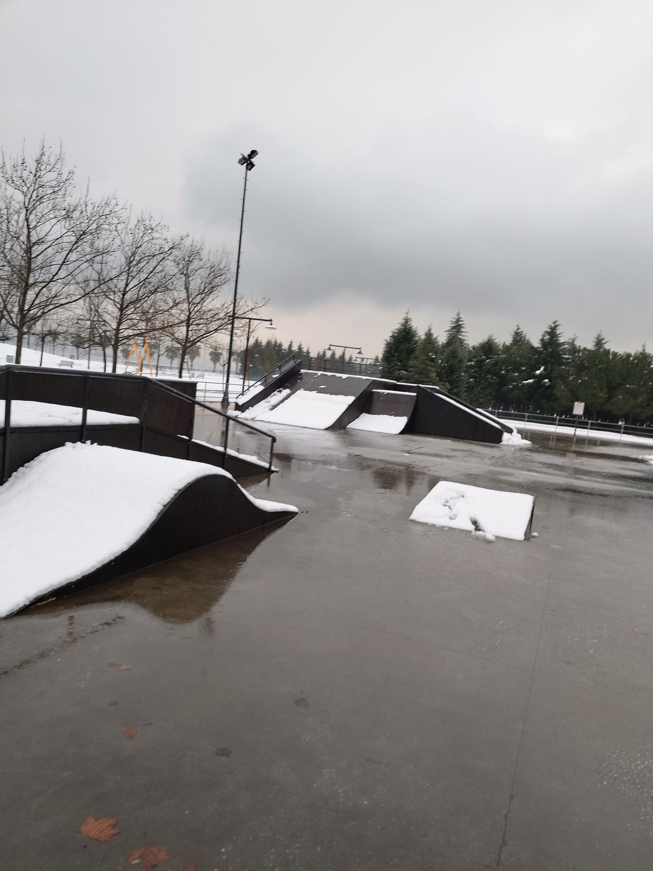 Seka skatepark — photo 1