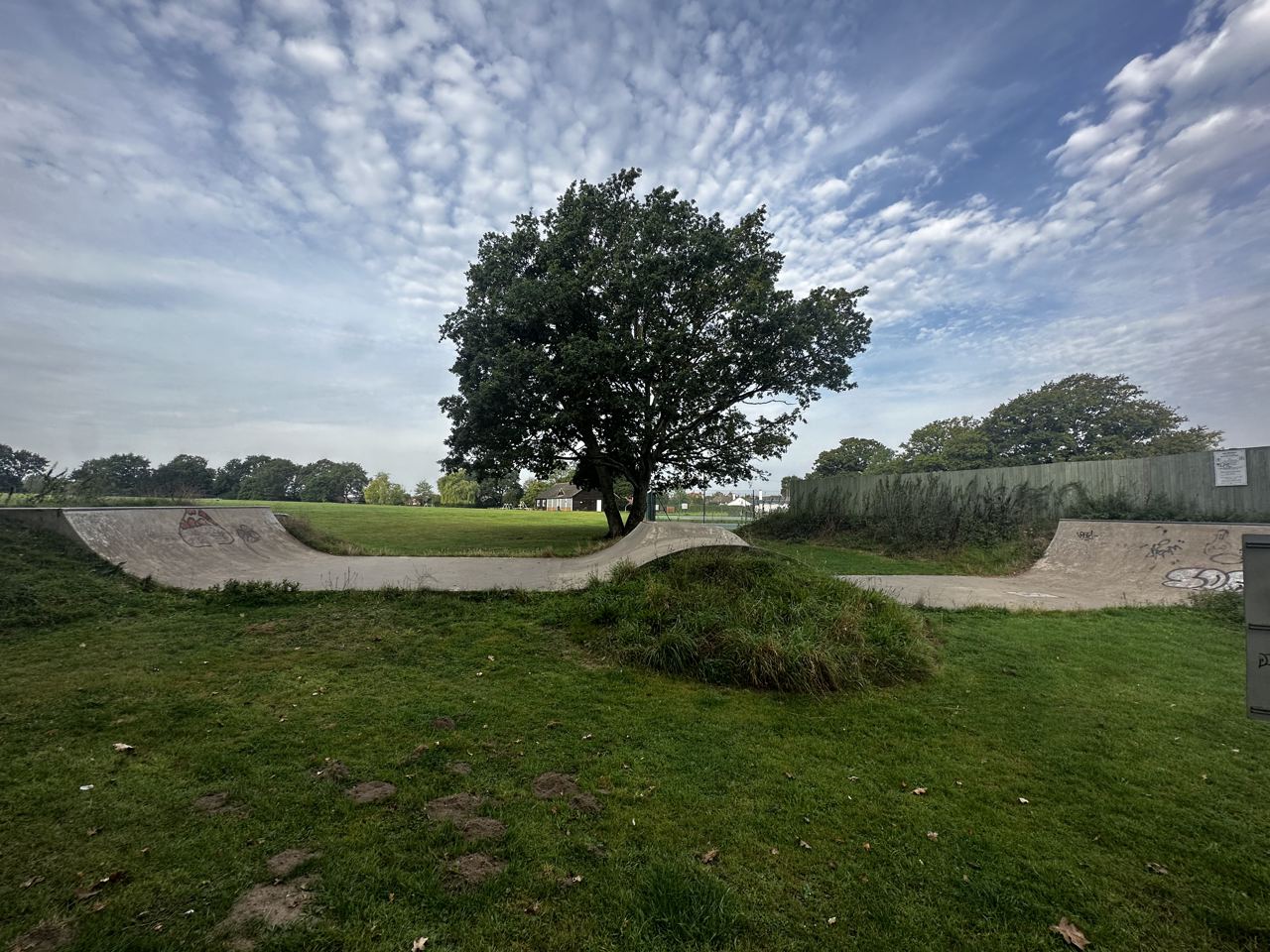 Partridge Green Mini Ramp — photo 1