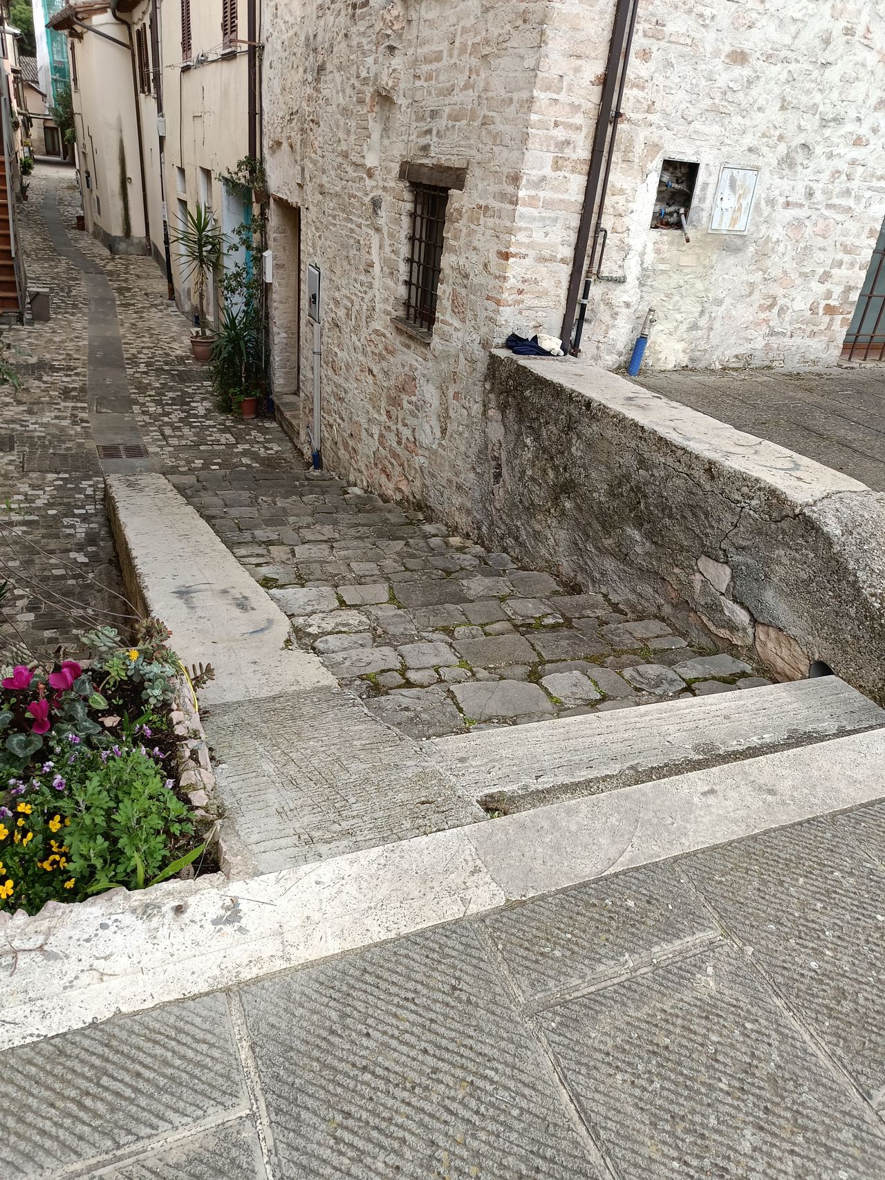 Scalone del porco — photo 1