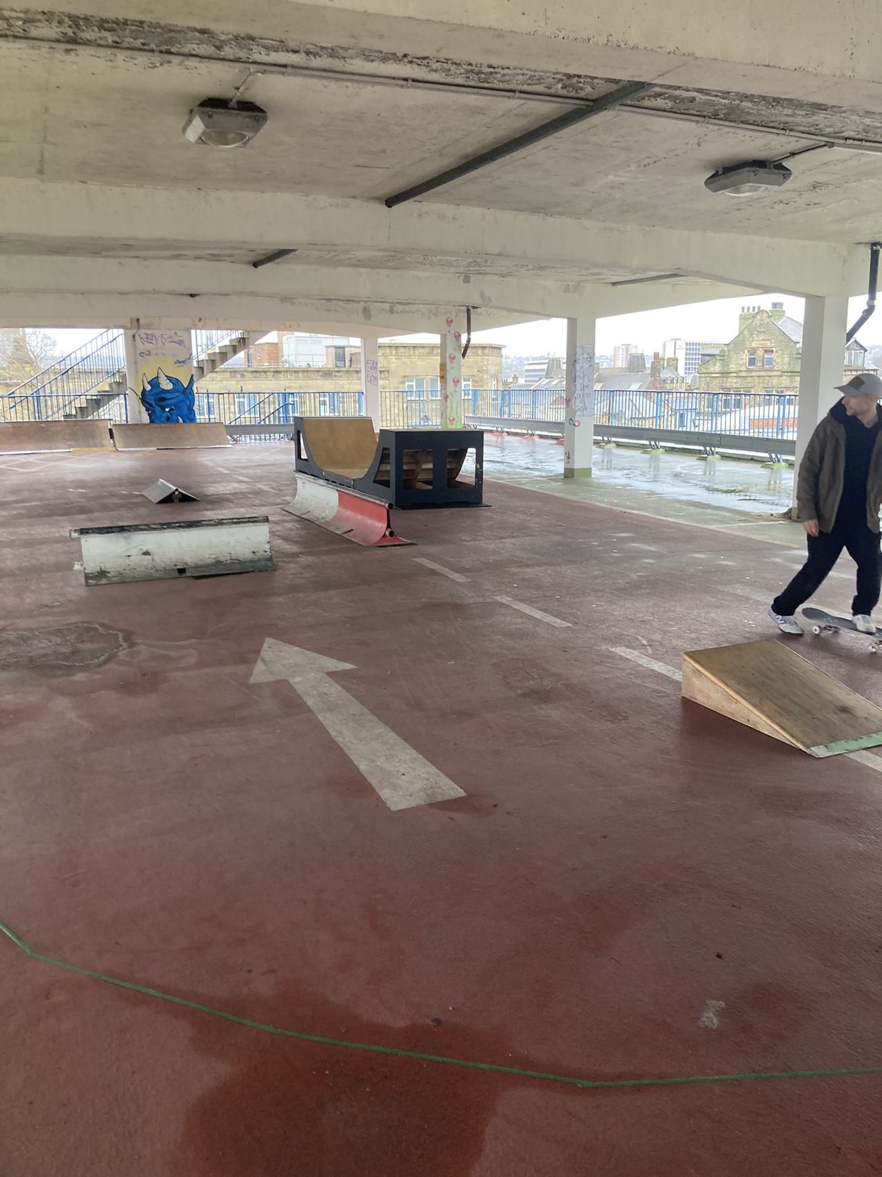 Bd1 skate diy — photo 1